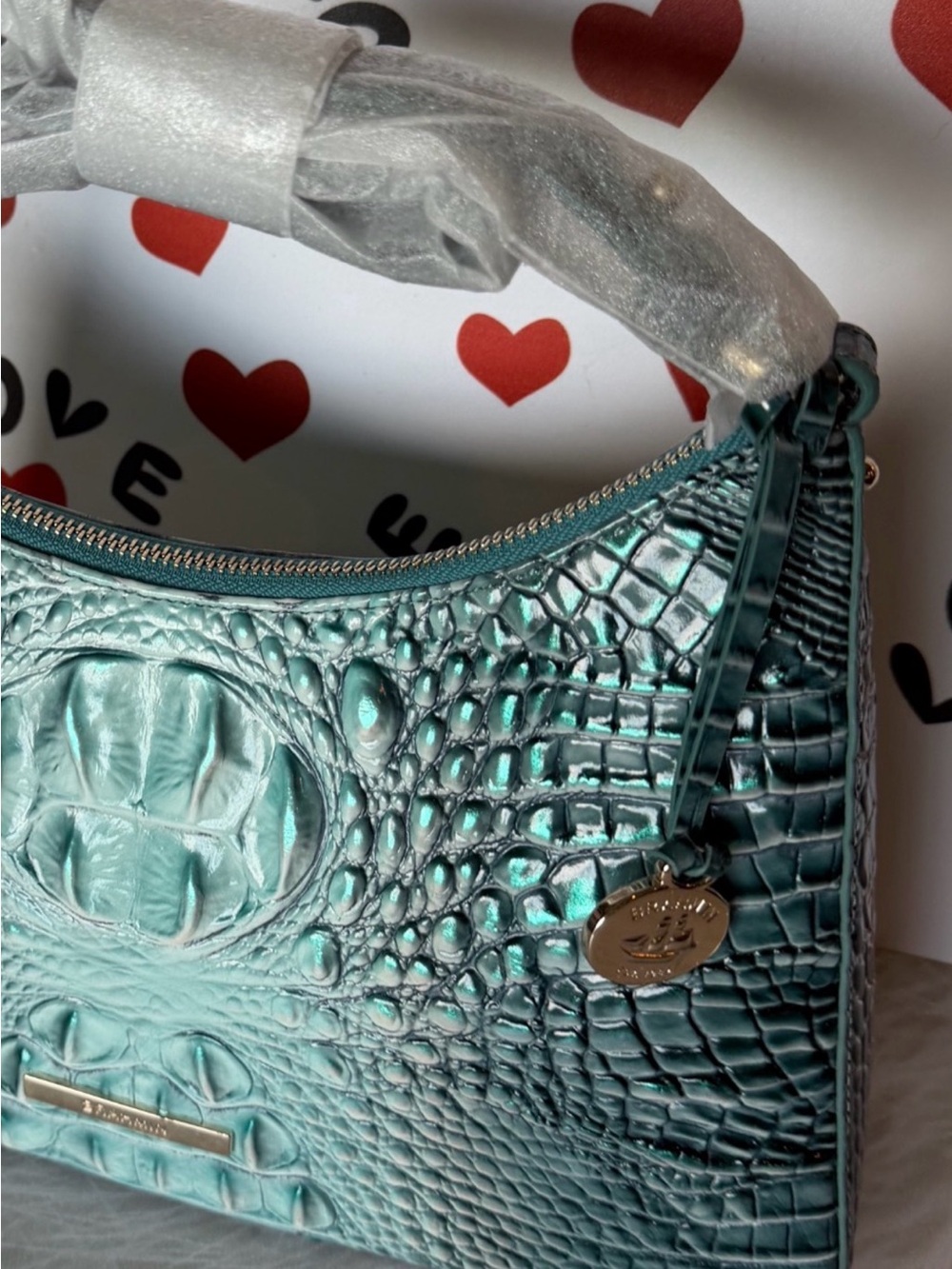 Gorgeous Brahmin Esme in Spearmint Ombré Shoulder Bag NWT PERFECT EYE ON FRONT